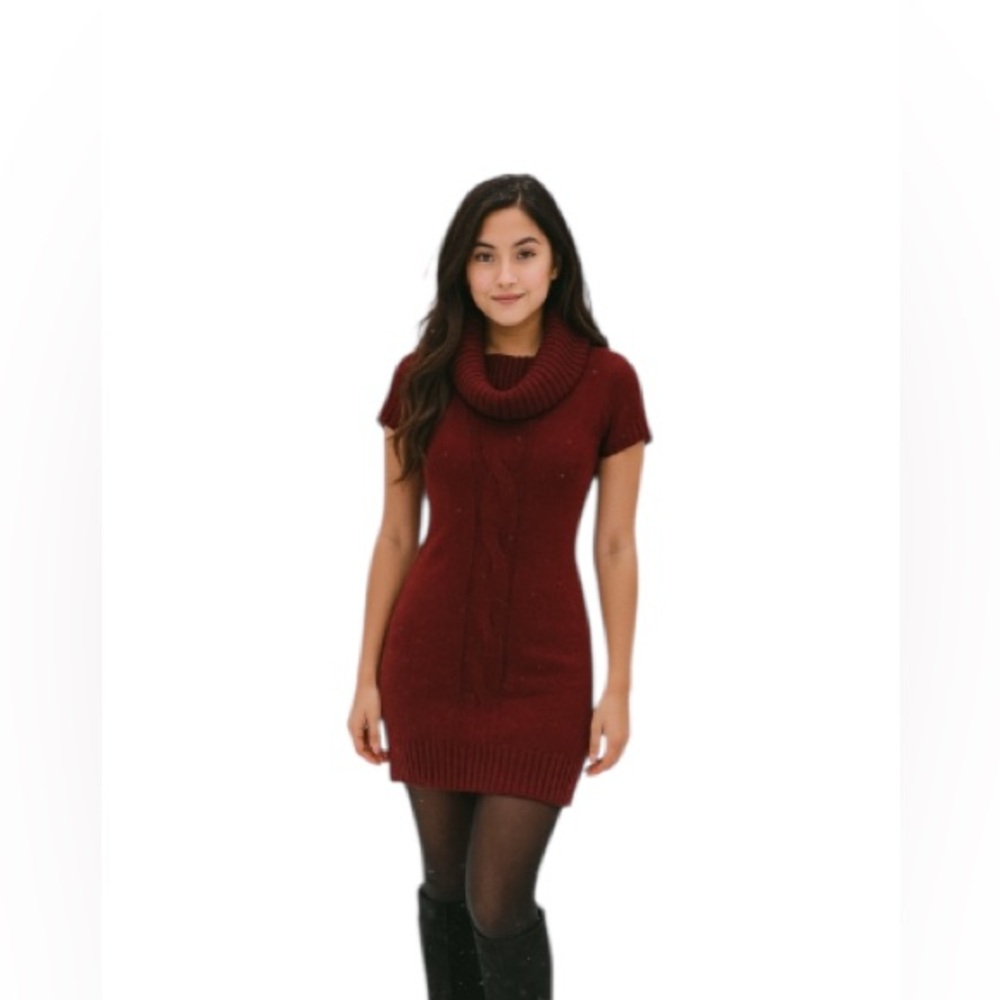 Burgundy Sparkle Cowl Neck Sweater Dress Short Sleeve Knit a.n.a Size S Fits M